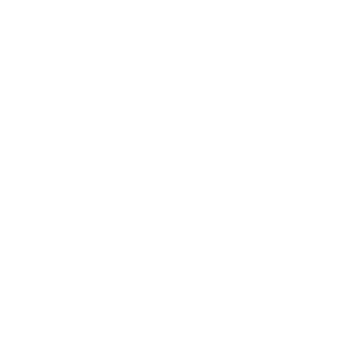 Instagram BDS
