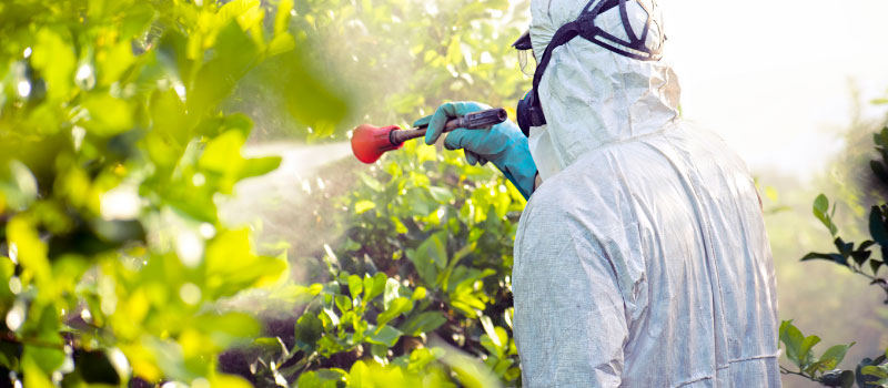 Desinfección viral y bacteriana