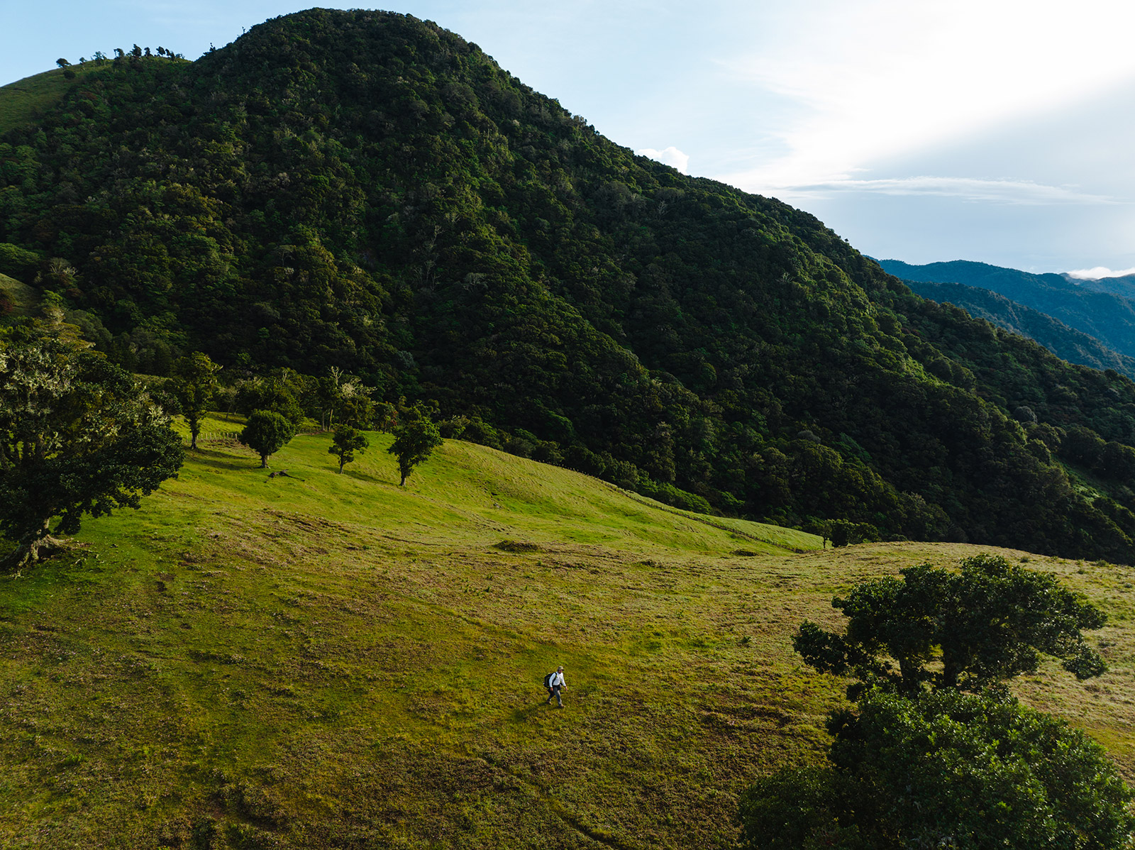 Sendero Cerro Artilleria, Jaramillo, Boquete