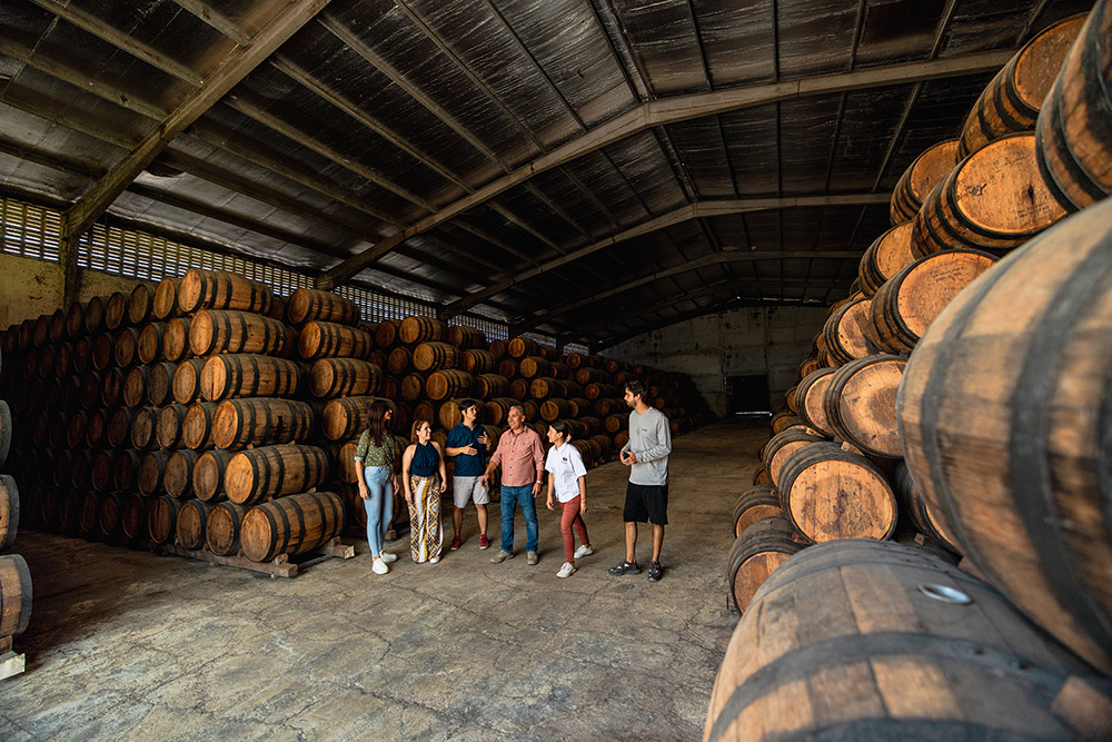 Rum experience at Hacienda San Isidro