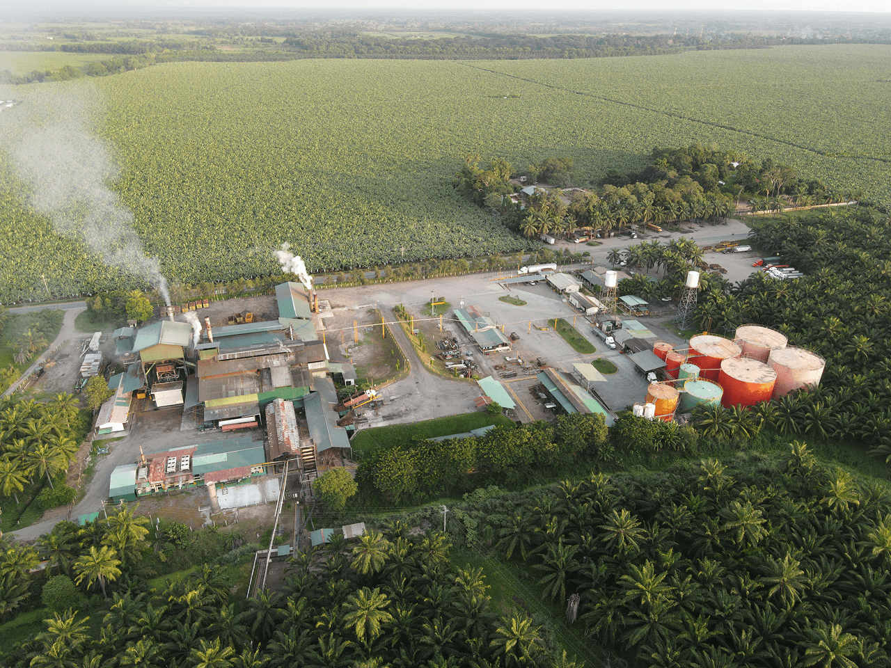 Agricultural landscape with workers in the field